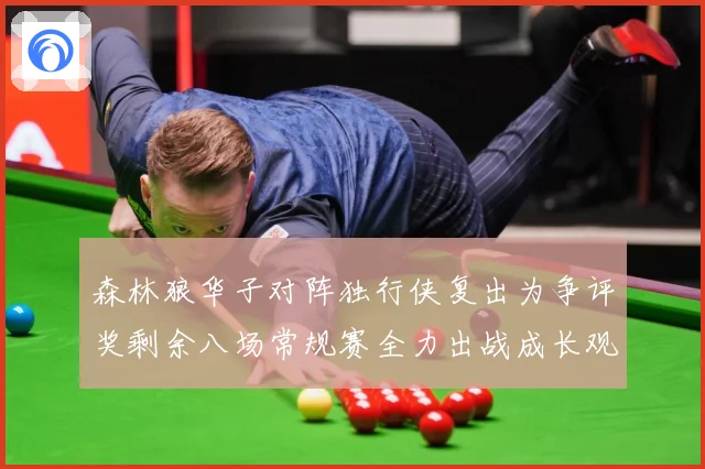 森林狼华子对阵独行侠复出为争评奖剩余八场常规赛全力出战成长观察-深度解析