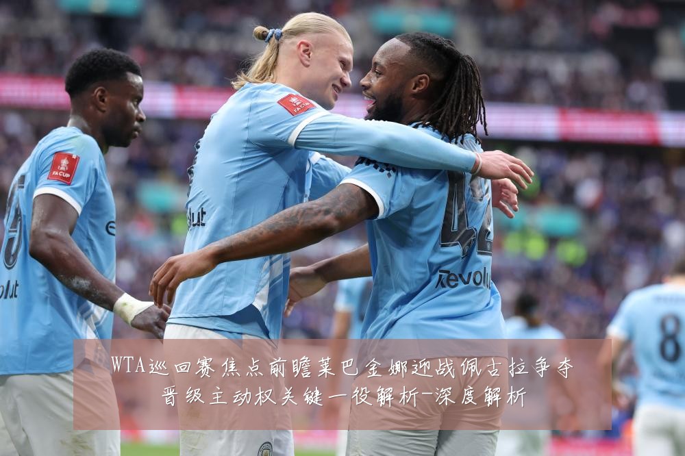 WTA巡回赛焦点前瞻莱巴金娜迎战佩古拉争夺晋级主动权关键一役解析-深度解析