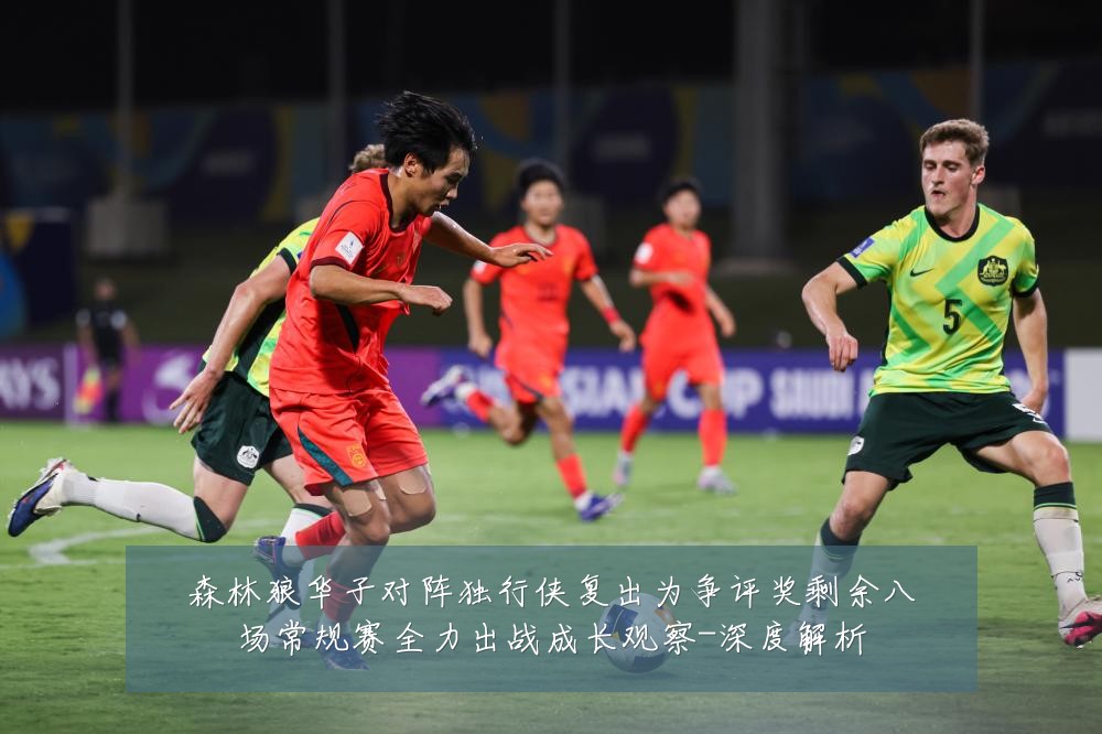 森林狼华子对阵独行侠复出为争评奖剩余八场常规赛全力出战成长观察-深度解析